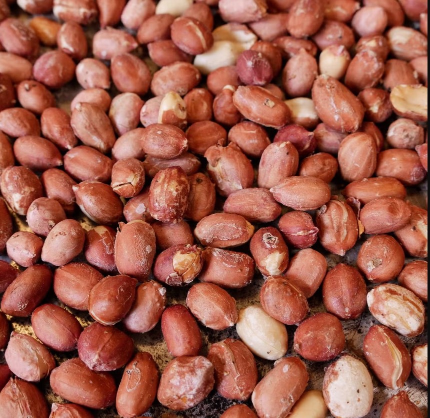 Peanuts Export